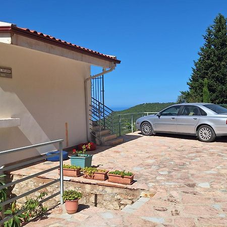 Vila Tatjana Hostal Vuno Exterior foto