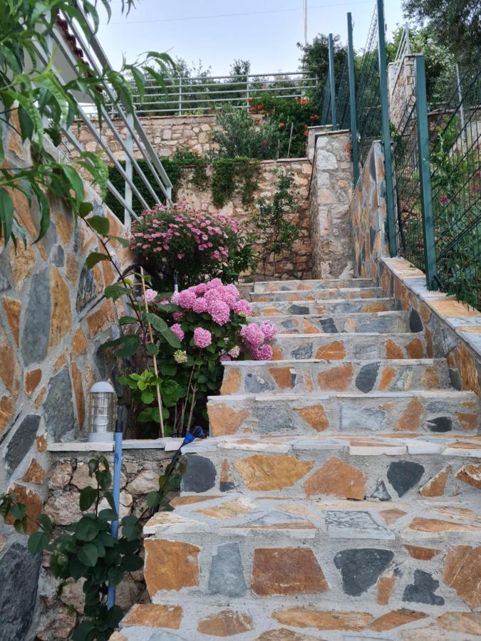 Vila Tatjana Hostal Vuno Exterior foto